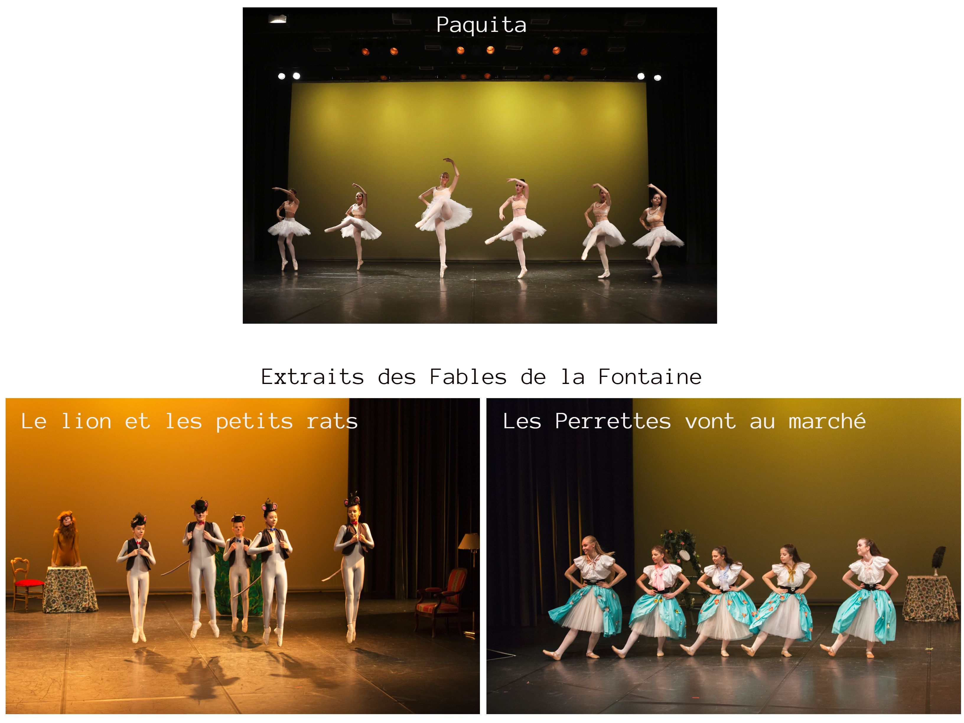 Paquita, puis Le lion et les petits rats et Les Perrettes vont au marché — spectacle 2017