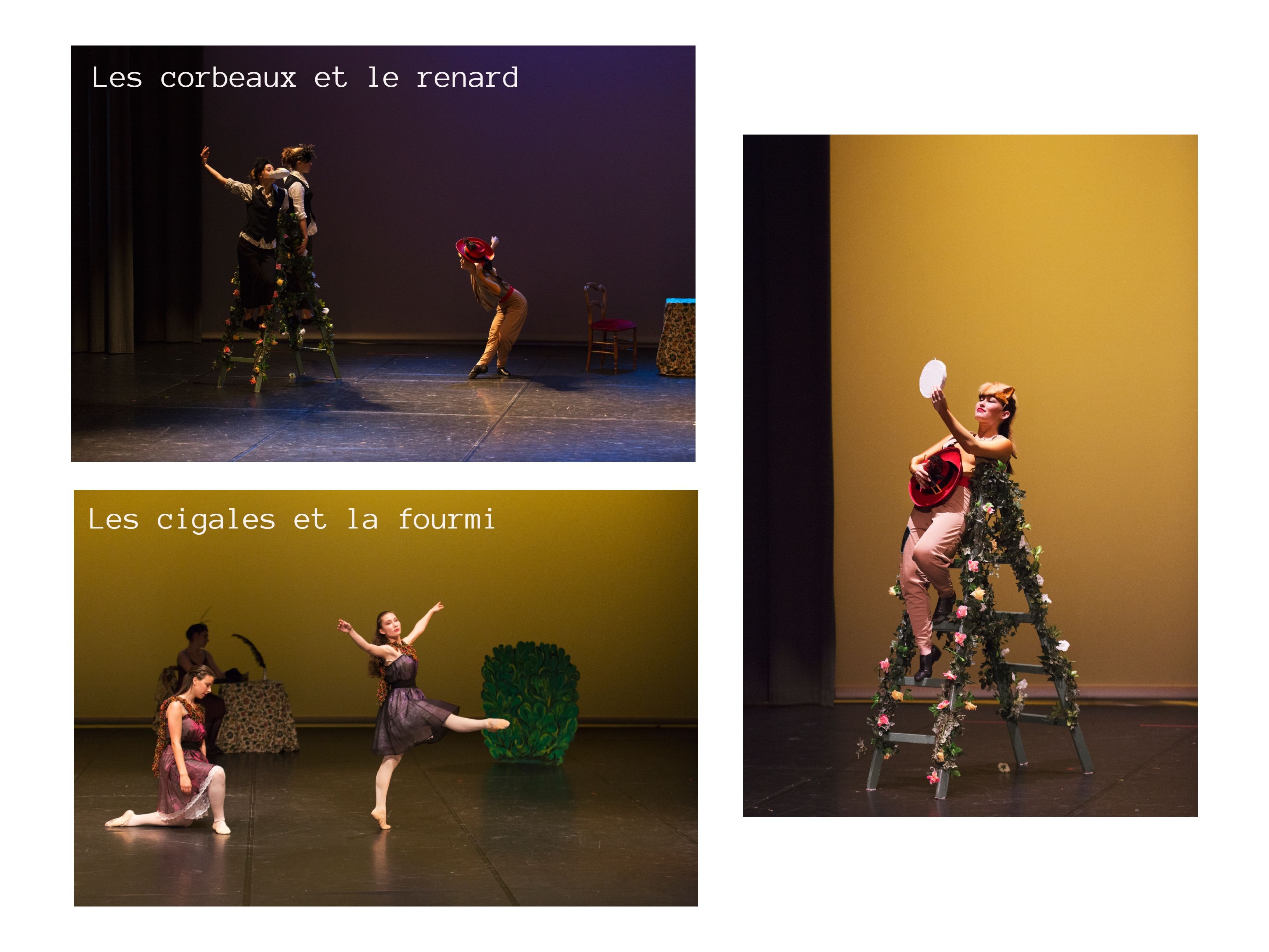Les corbeaux et le renard et Les cigales et la fourmi — spectacle 2017